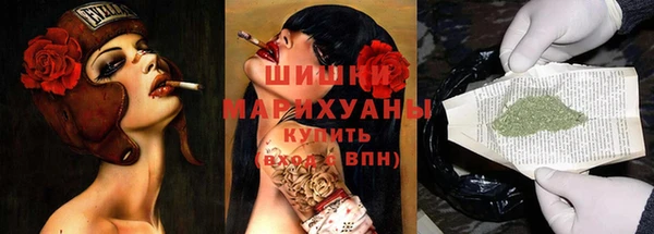 спиды Новозыбков