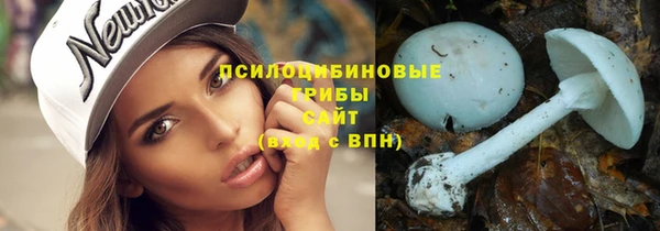 соль ск Нефтекумск