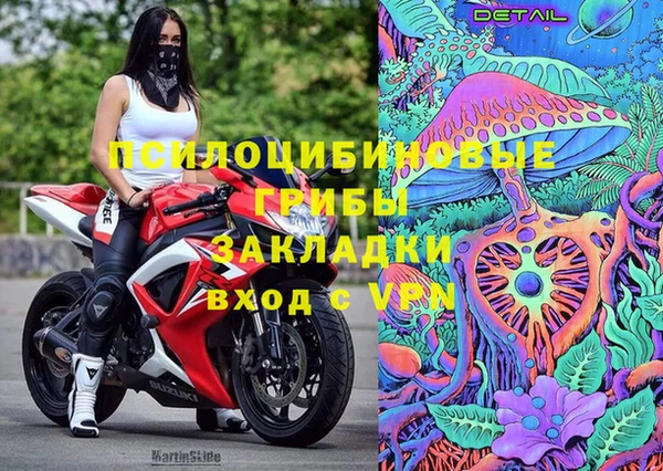 спиды Новозыбков