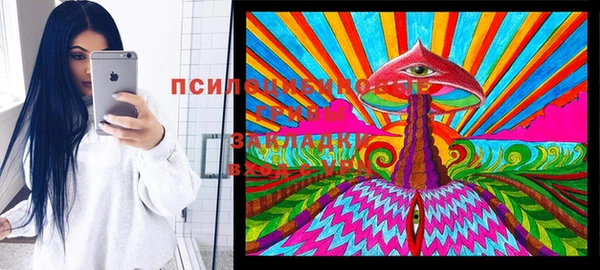 стафф Нефтегорск