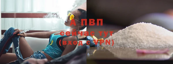 a pvp Новодвинск