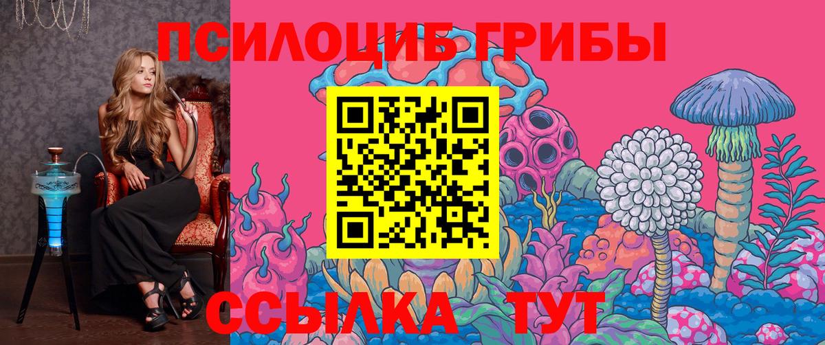 Псилоцибиновые грибы Magic Shrooms  Зеленодольск 