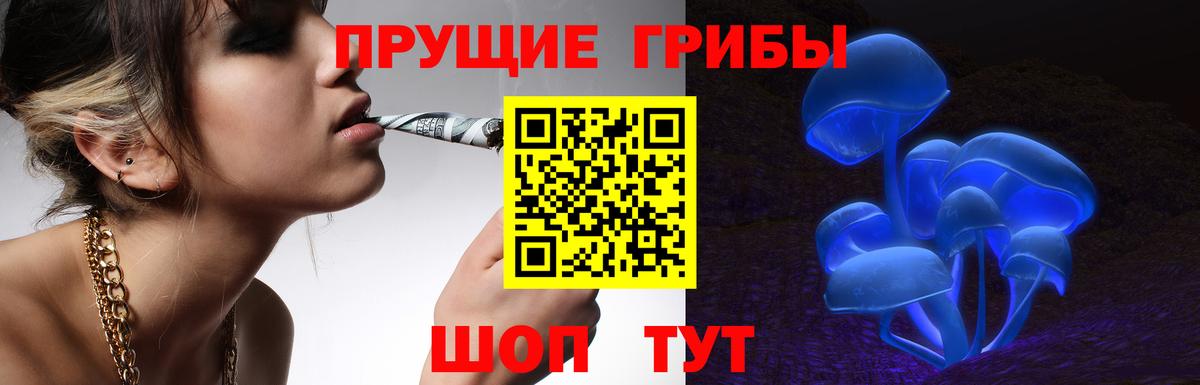 Зеленодольск  Галлюциногенные грибы Psilocybe  Вход с VPN 